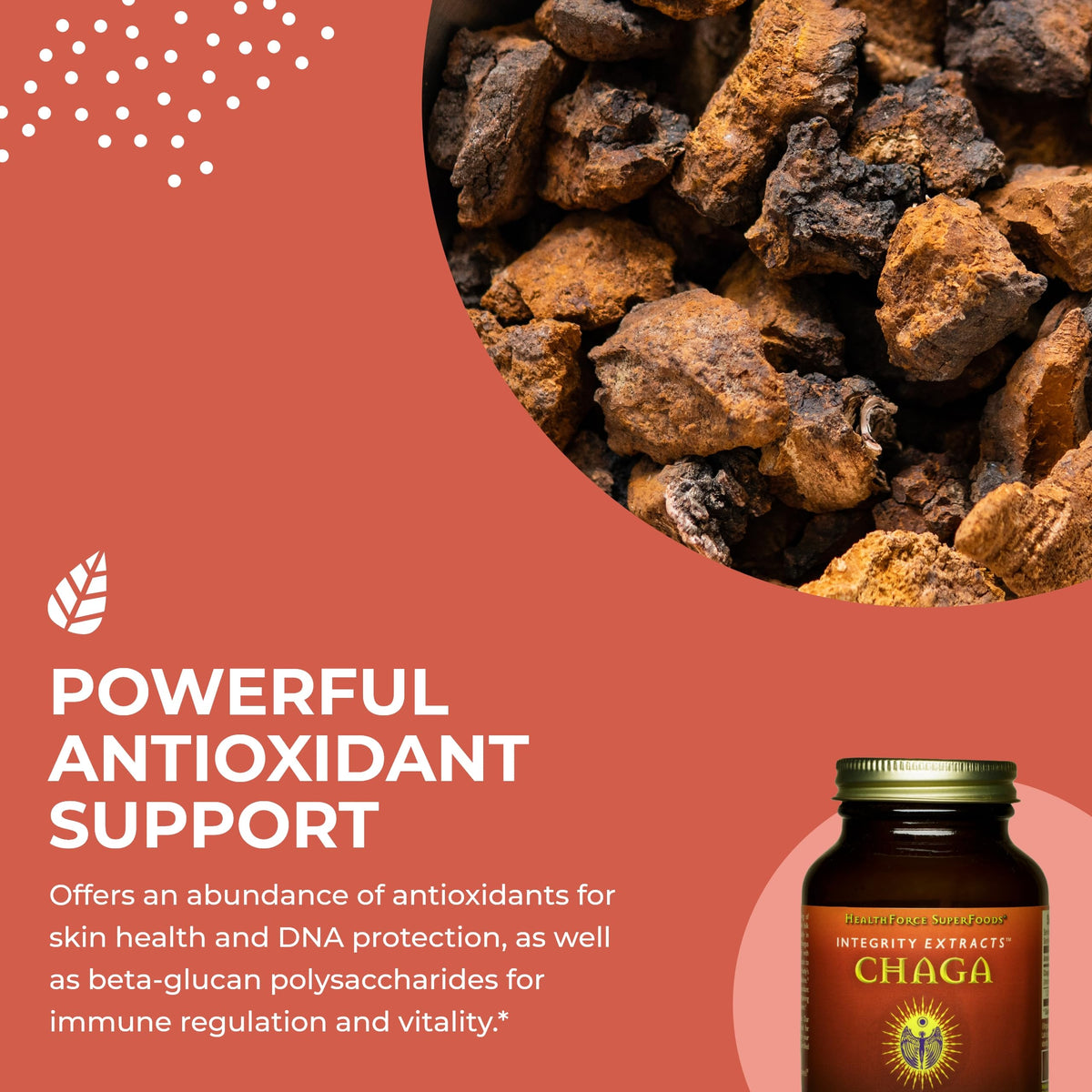 HEALTHFORCE SUPERFOODS Integrity Extracts Chaga Powder - 70 Grams - image 4
