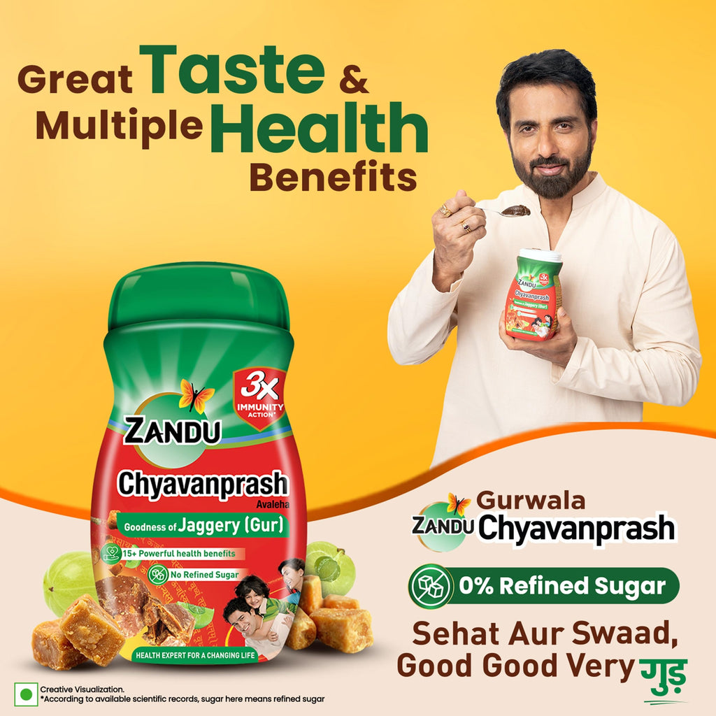 Zandu Chyawanprash Ayurvedic Immunity Booster - 900g - image 6
