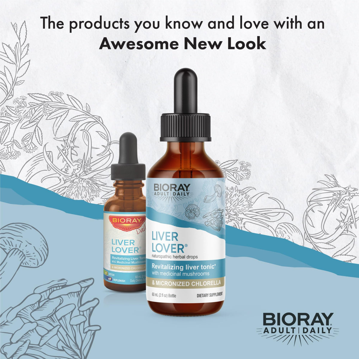 BIORAY Daily Liver Lover Herbal Supplement - 2 fl oz - image 3