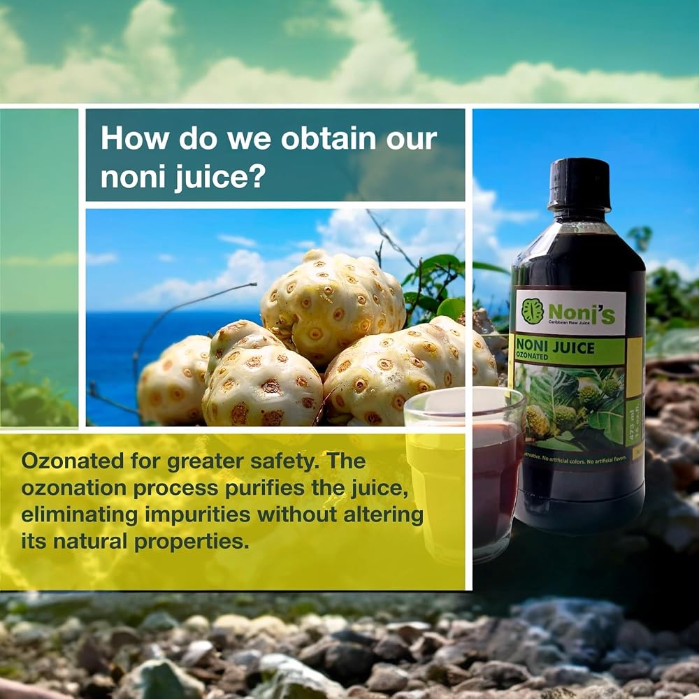 Frutos Pachamama Organic Noni Juice 100% Pure - 4 x 16 Fl Oz - image 2