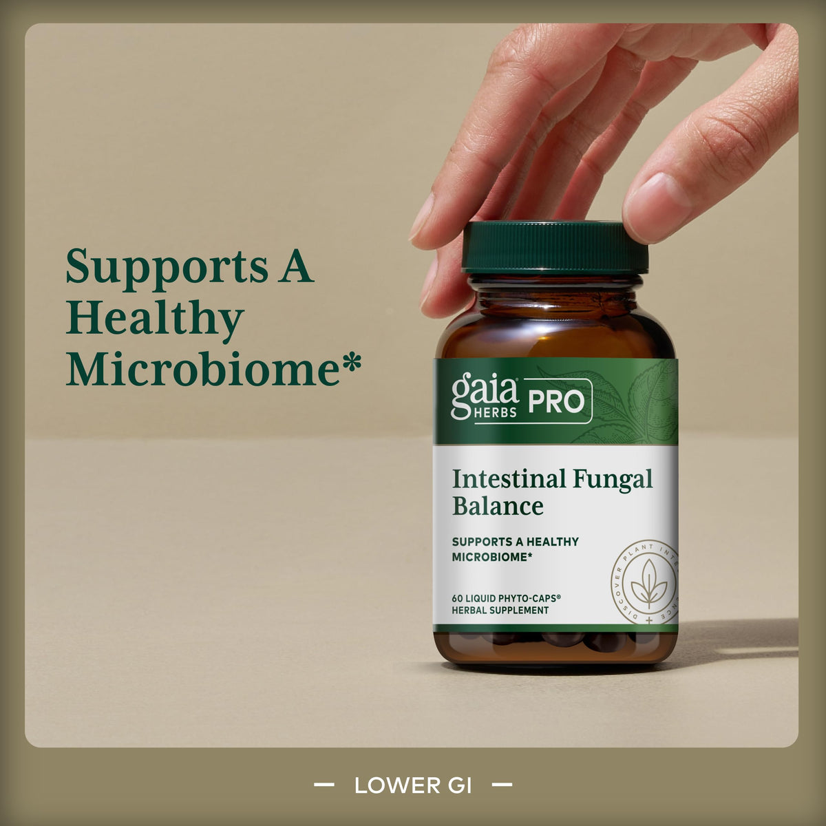 Gaia Herbs PRO Intestinal Fungal Balance - 60 Vegan Capsules - image 3