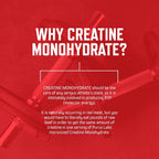 Purus Labs Creatine Powder 100% Micronized for Strength & Power - 30 Servings - image 5