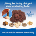 ENCAPSULATE 6 Mushroom Blend 1000mg Immune Support - 60 Capsules - image 6