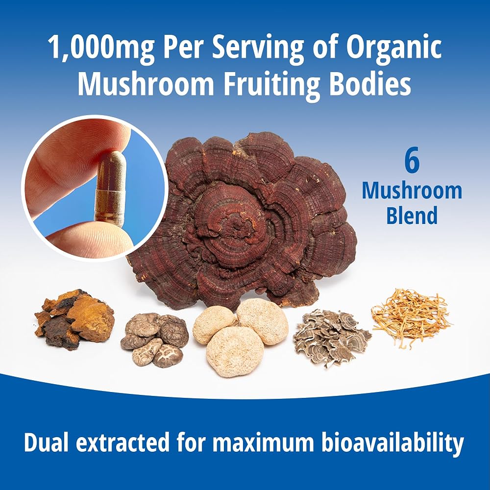 ENCAPSULATE 6 Mushroom Blend 1000mg Immune Support - 60 Capsules - image 6