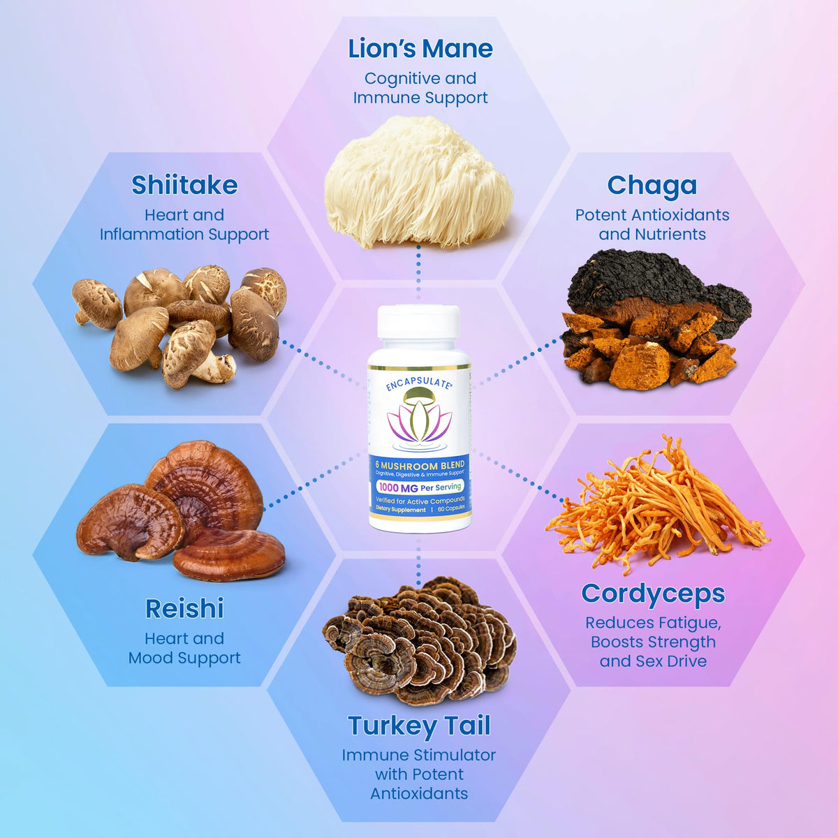 ENCAPSULATE 6 Mushroom Blend