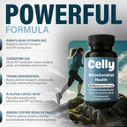 Celly Mitochondrial Health Supplement - 60 Capsules - image 3