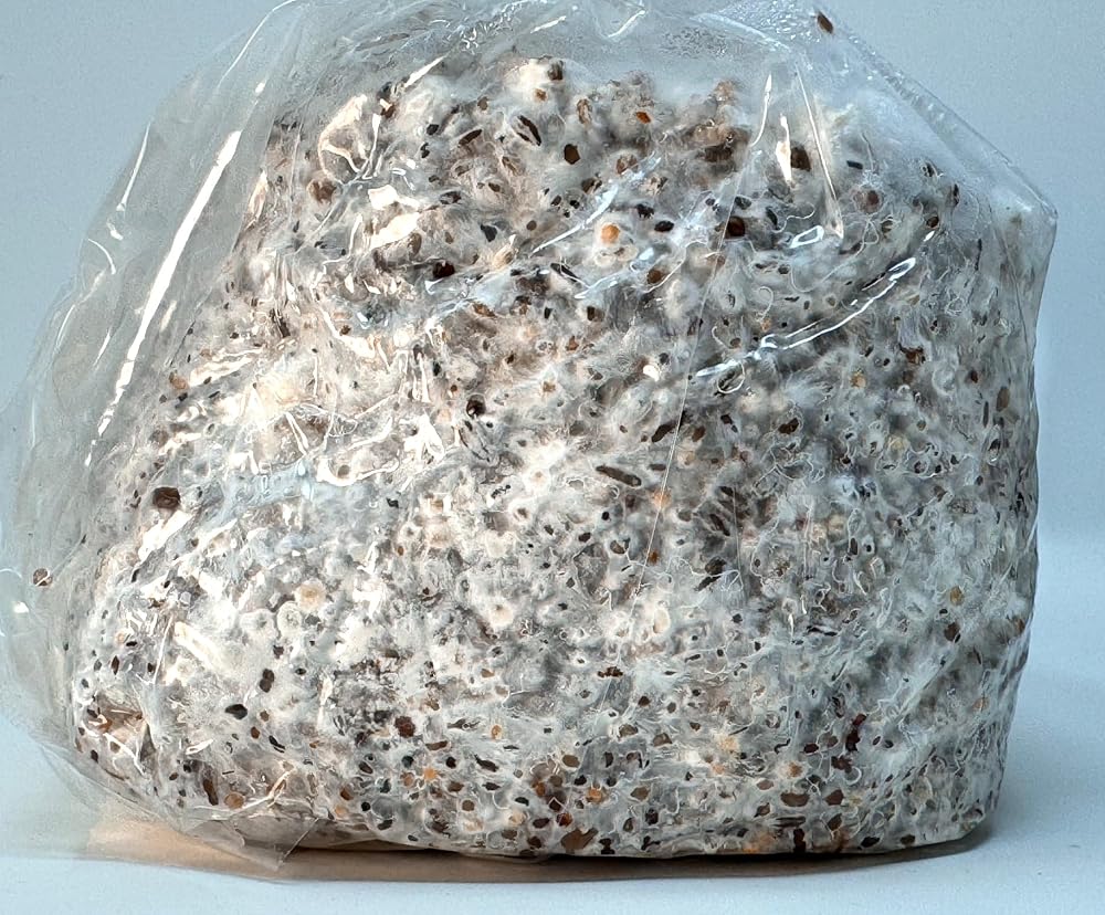 Myco Labs Premium 5-Grain Mushroom Spawn Bags - 2 Quarts Each - image 4