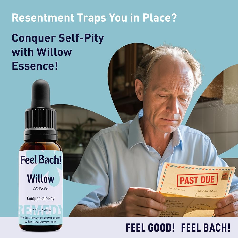 Feel Bach! Willow Natural Homeopathic Remedy - 20ml (0.7 fl oz) - image 4