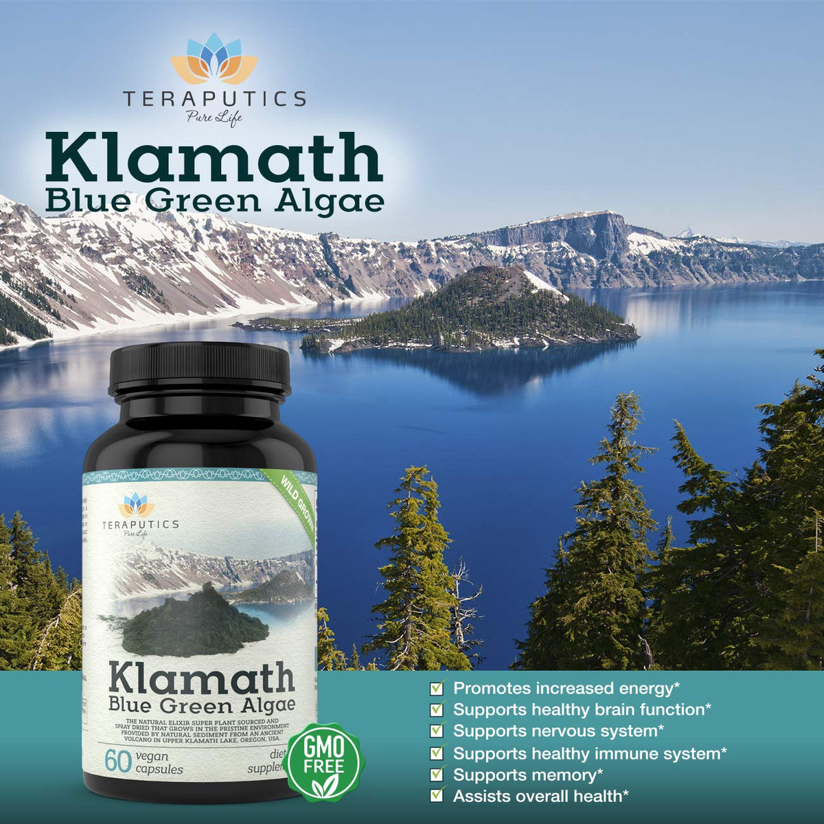 Teraputics Klamath Lake Blue Green Algae Superfood - 60 Vegan Capsules - image 4