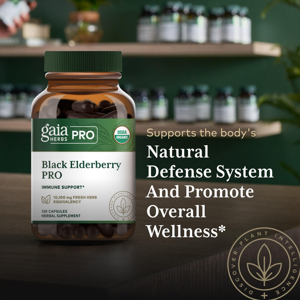 Gaia Herbs PRO Black Elderberry Immune Support - 120 Capsules - image 5