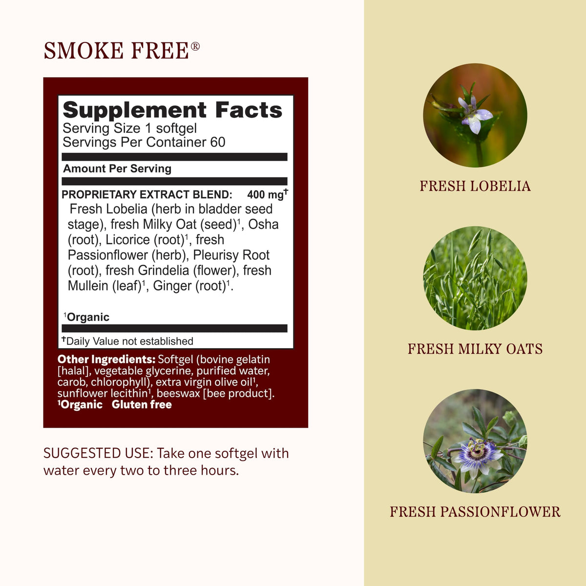 Herbs Etc. Smoke Free Softgels, Gluten-Free & Organic - 60 Count - image 4