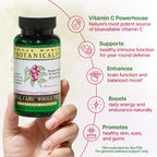 Whole World Botanicals Royal Camu-Camu Gel Capsules - 120 Count - image 4