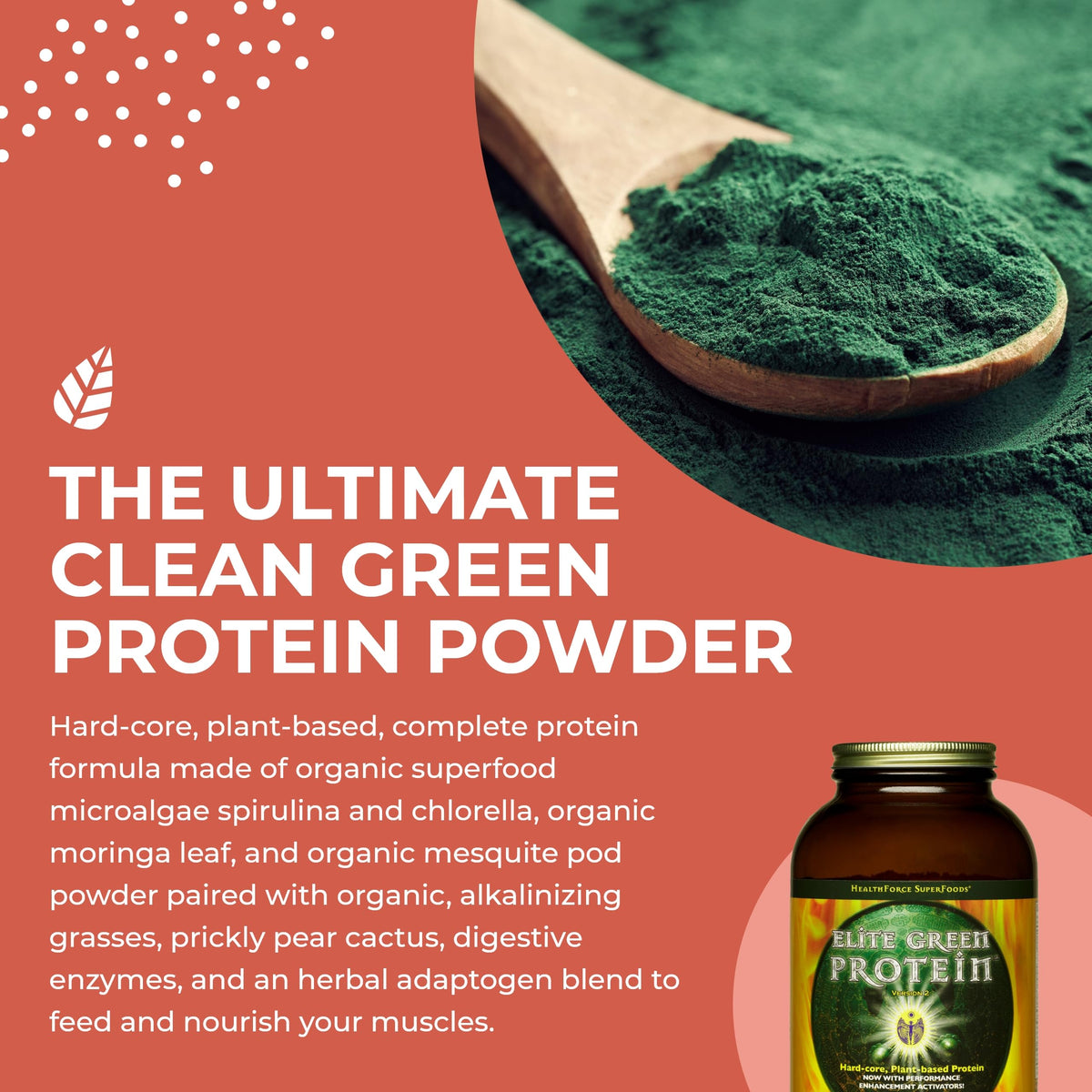 HealthForce SuperFoods Elite Green Protein Powder - 500g - image 4