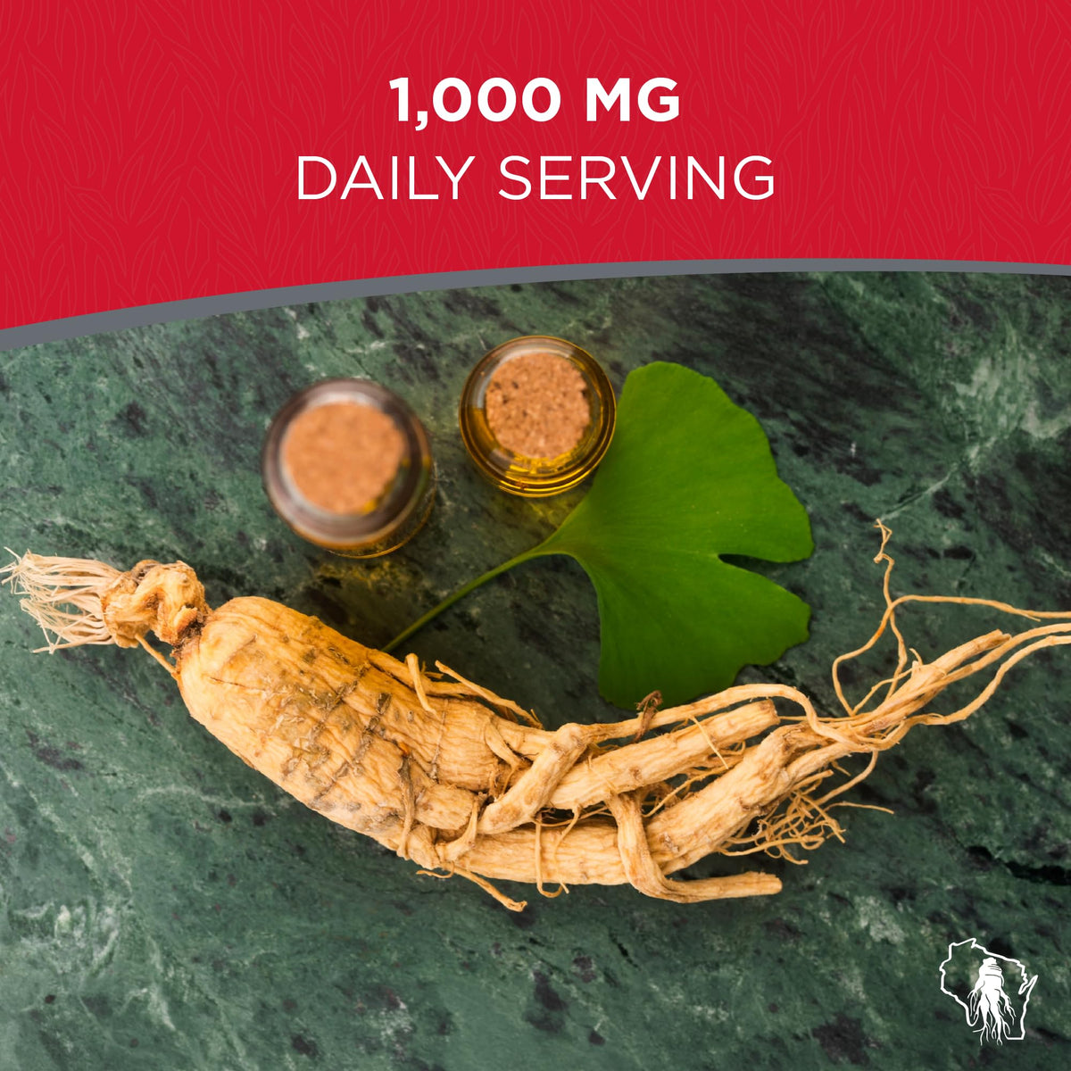 Dairyland Management Panax Ginseng + Ginkgo Biloba Capsules - 150 Count - image 4