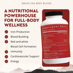 Ancestral Supplements Blood Health Organ Formula 500mg - 180 Capsules - image 2