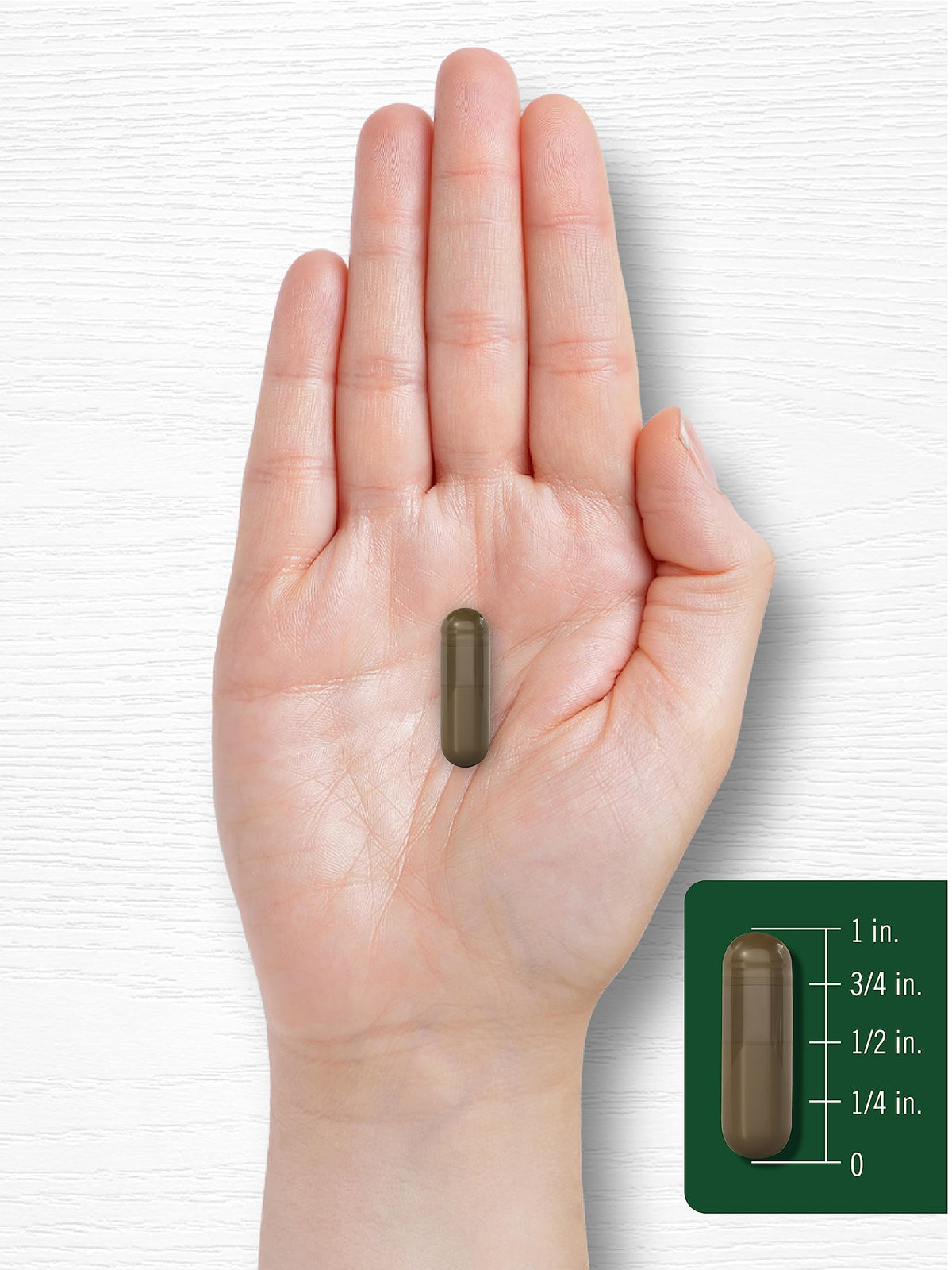 Carlyle Schisandra Supplement 1160 mg - 200 Capsules - image 7