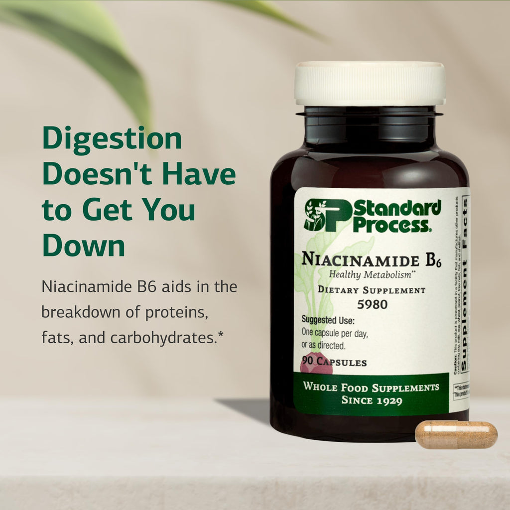 Standard Process Niacinamide B6 Energy Metabolism Support - 90 Capsules - image 3