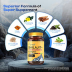 Cosynee Himalayan Shilajit Capsules with Ashwagandha - 150 Capsules - image 3