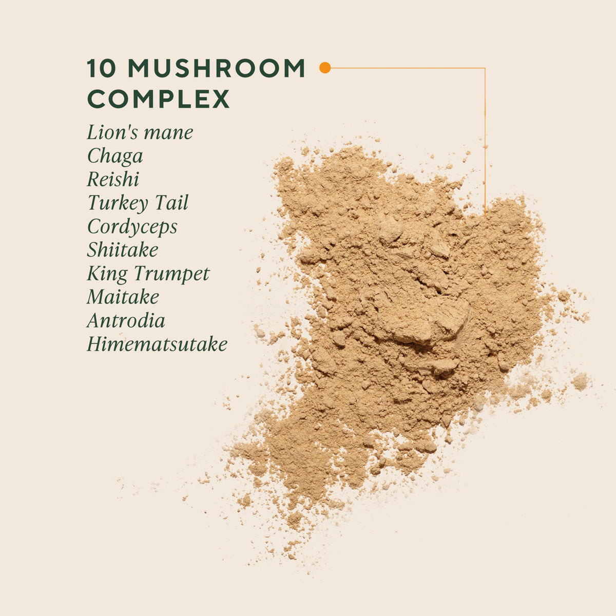 OM MUSHROOM SUPERFOOD Om Master Blend Mushroom Powder