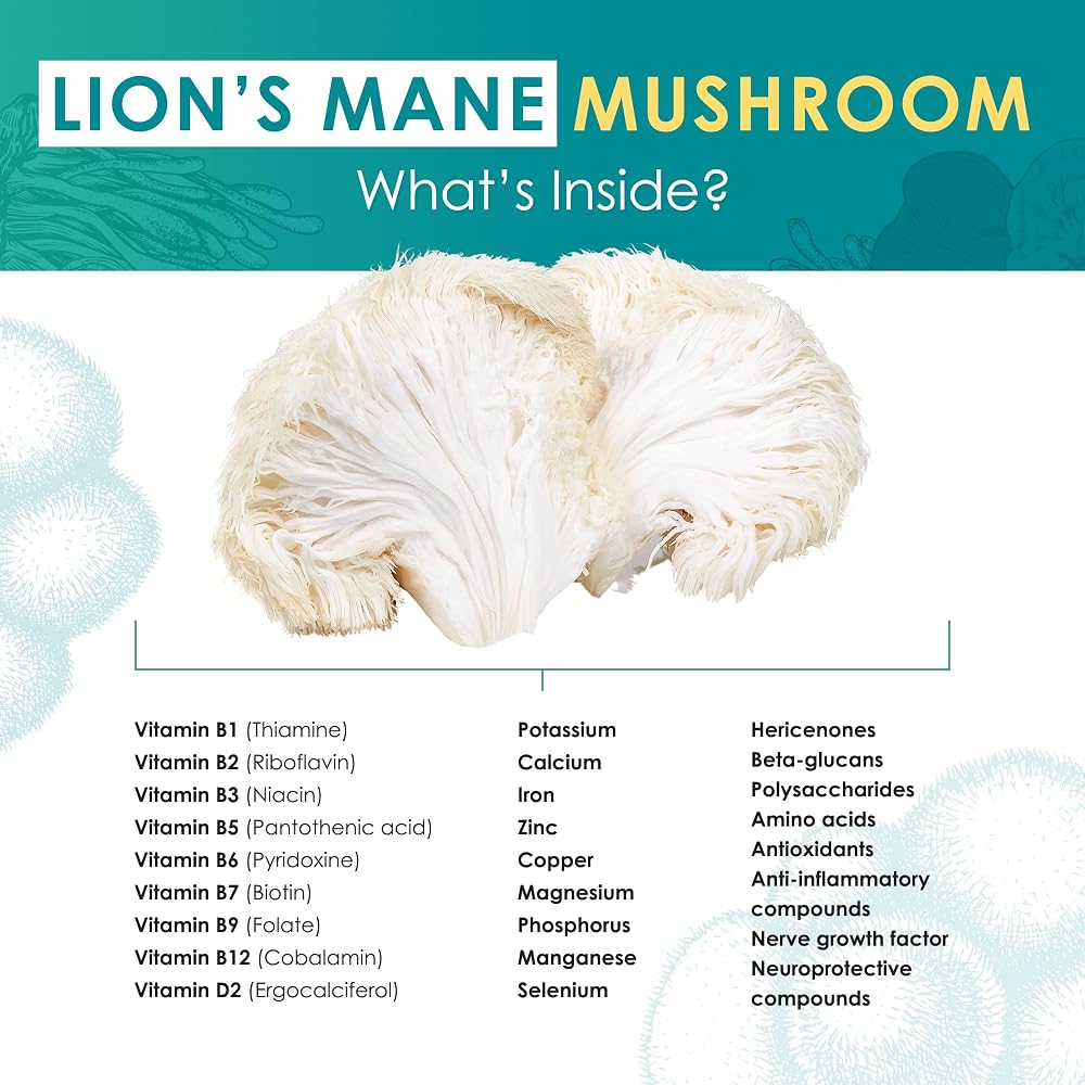 Purest Mushrooms Lion's Mane Powder for Memory & Focus - 60g - image 4