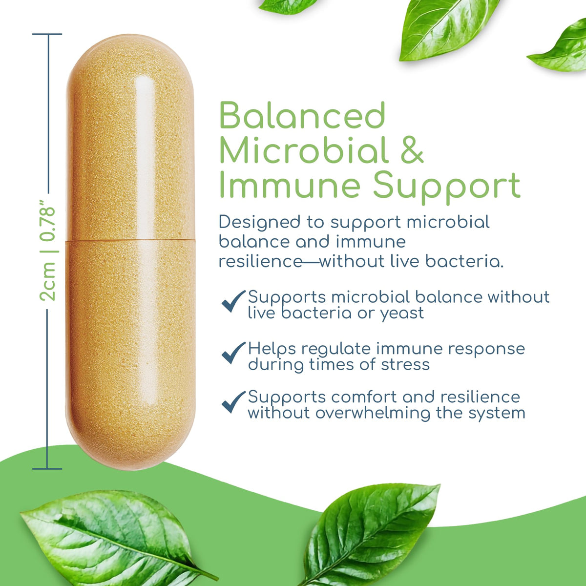 Return Healthy Herbal Biotic Immune Support - 120 Capsules - image 4