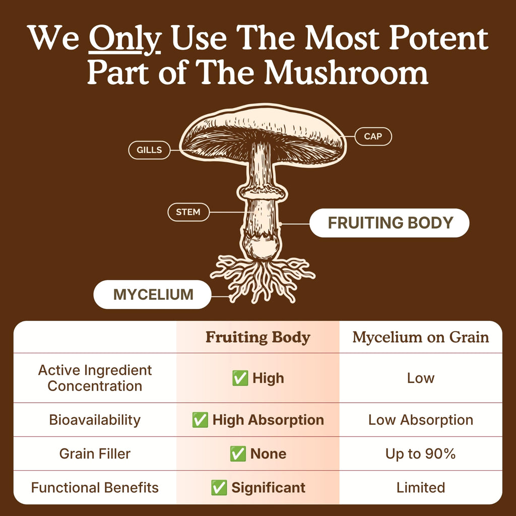 Nourishing Nutrients 10 Mushroom Supplement Powder - 60g - image 9
