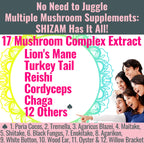 SHIZAM 17 Mushroom Complex Gummies for Adults - 60 Count - image 3