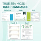 TrueSeaMoss True Sea Moss Mango/Pineapple Gel - 16 Fl Oz - image 2