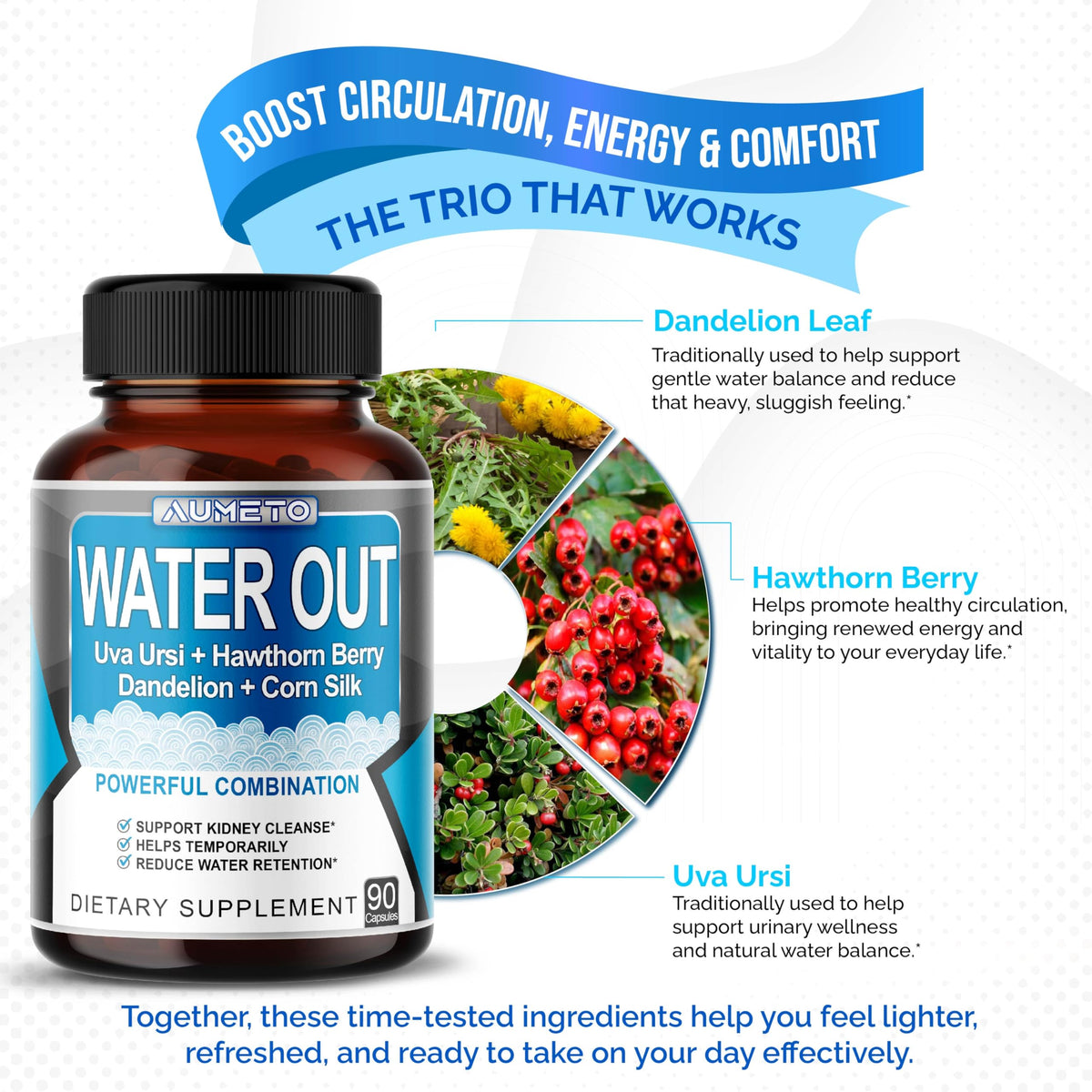 Aumeto Daily Water Balance 9-in-1 with Dandelion & Uva Ursi - 90 Capsules - image 5