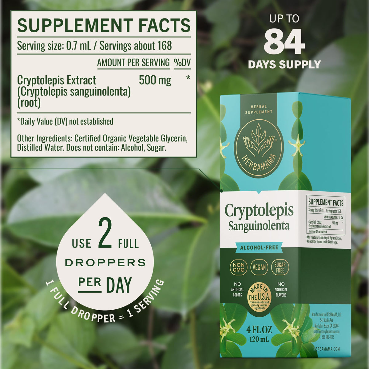 HERBAMAMA Cryptolepis Liquid Extract - Cryptolepis Tincture
