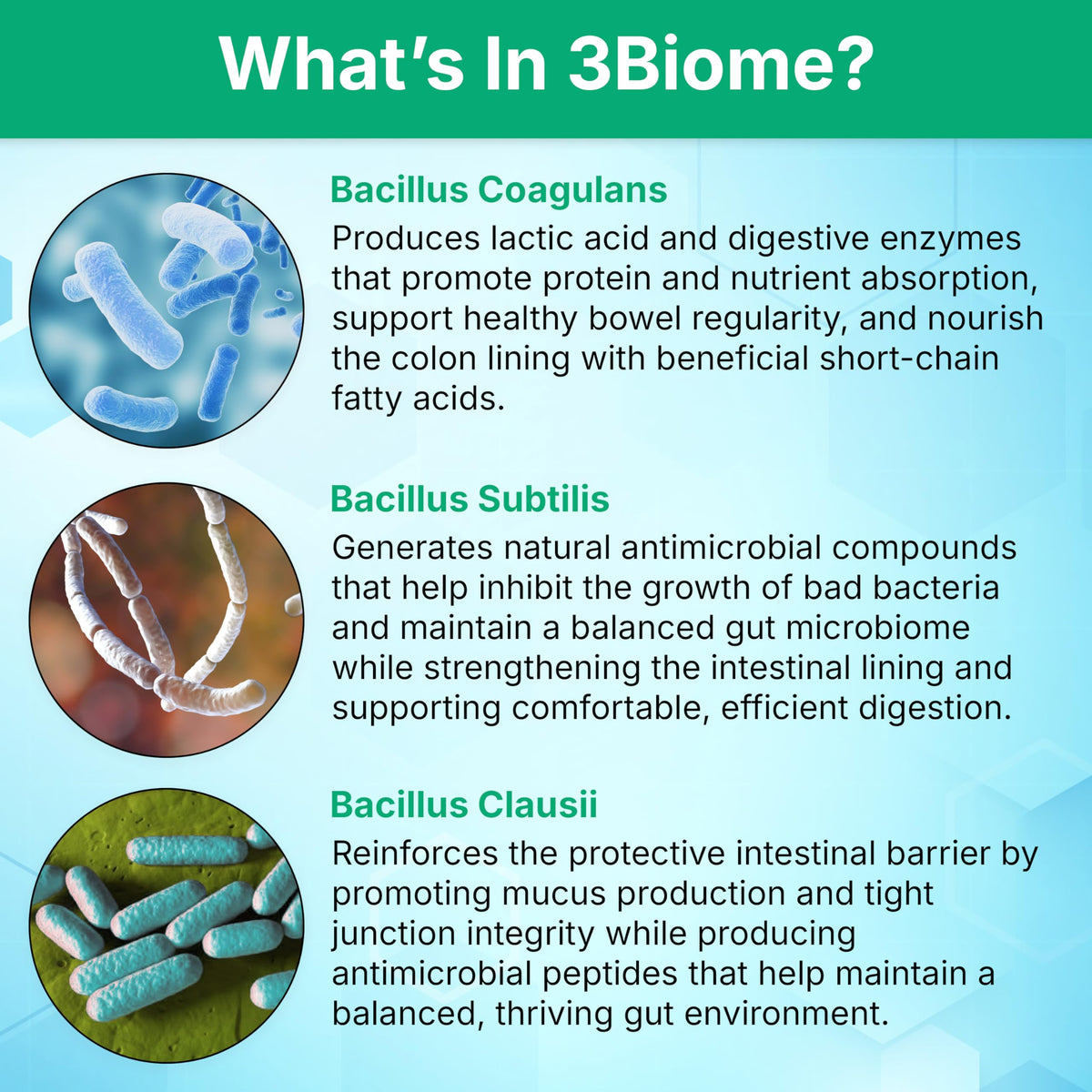 3Biome Natural Probiotic Supplement for Gut Health - 30 Capsules - image 5