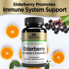 Windmill Elderberry with Vitamin C & Echinacea - 60 Wafers - image 4