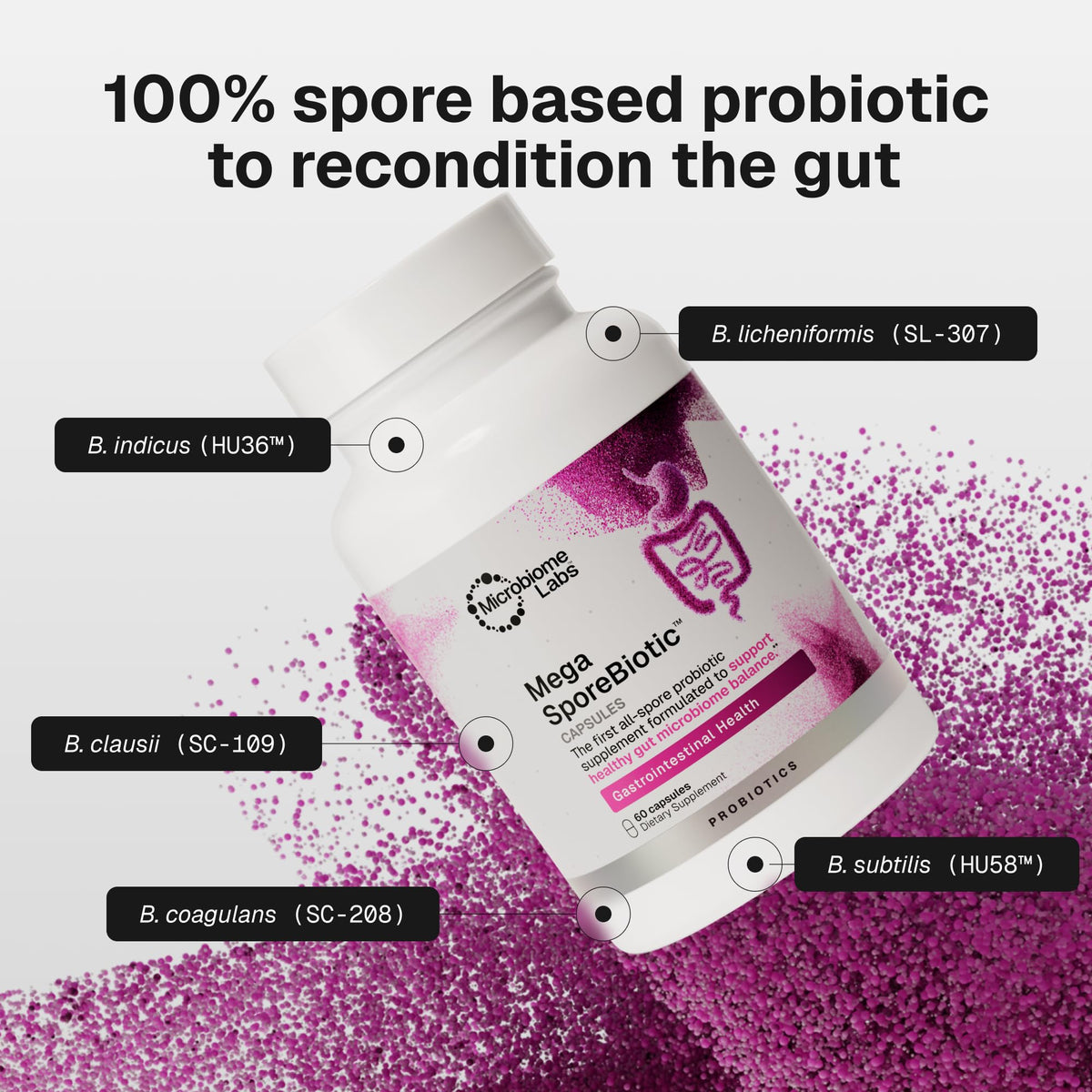 Microbiome Labs MegaSporeBiotic Probiotics for Digestive Health