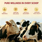 JUYIHEAL Core Bovine Colostrum Gummies Immune Support - 60 Servings - image 2