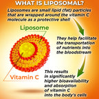 SUPPLEMENTS STUDIO Liposomal Vitamin C Capsules - Organic Acerola