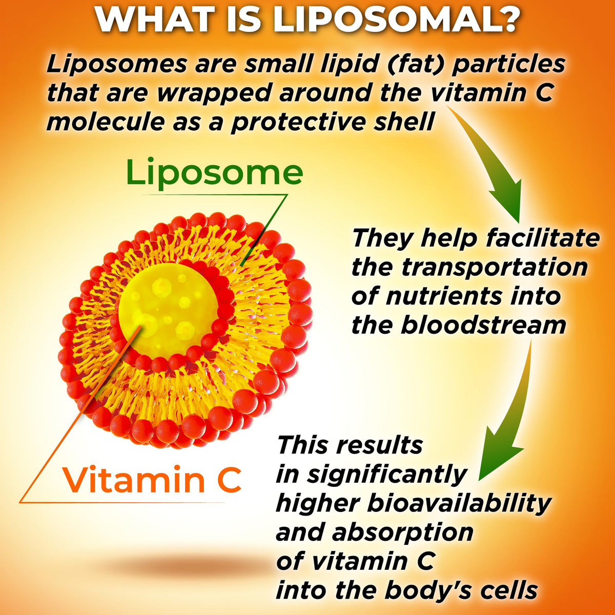 SUPPLEMENTS STUDIO Liposomal Vitamin C Capsules - Organic Acerola