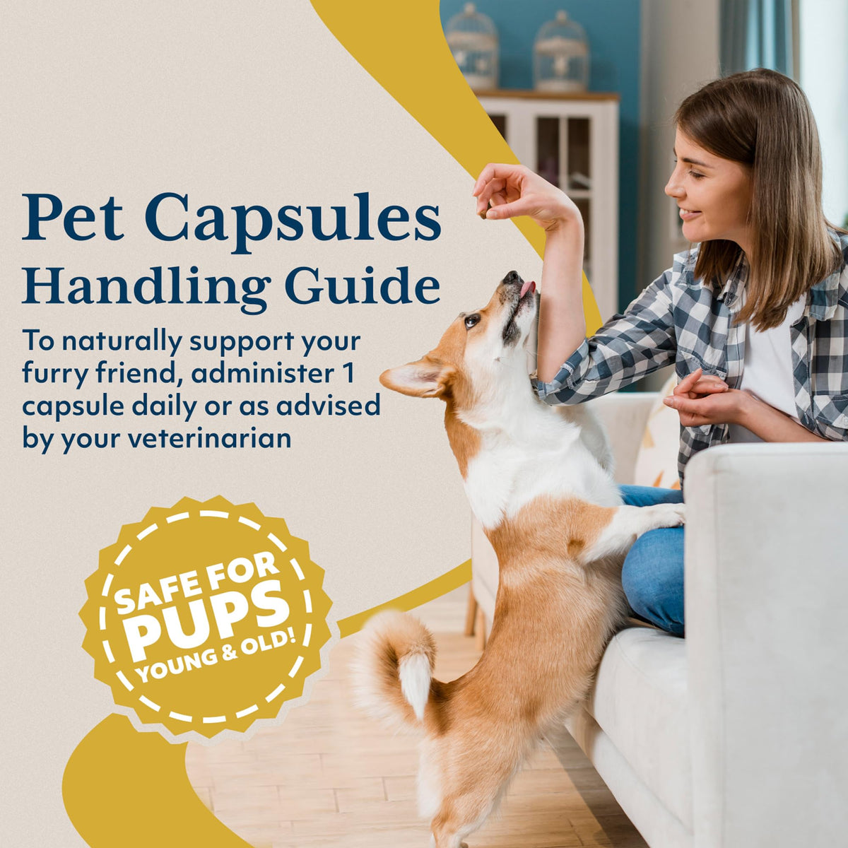 Ayush Herbs Pet Ashwagandha Capsules for Dogs & Cats - 120 Capsules - image 5