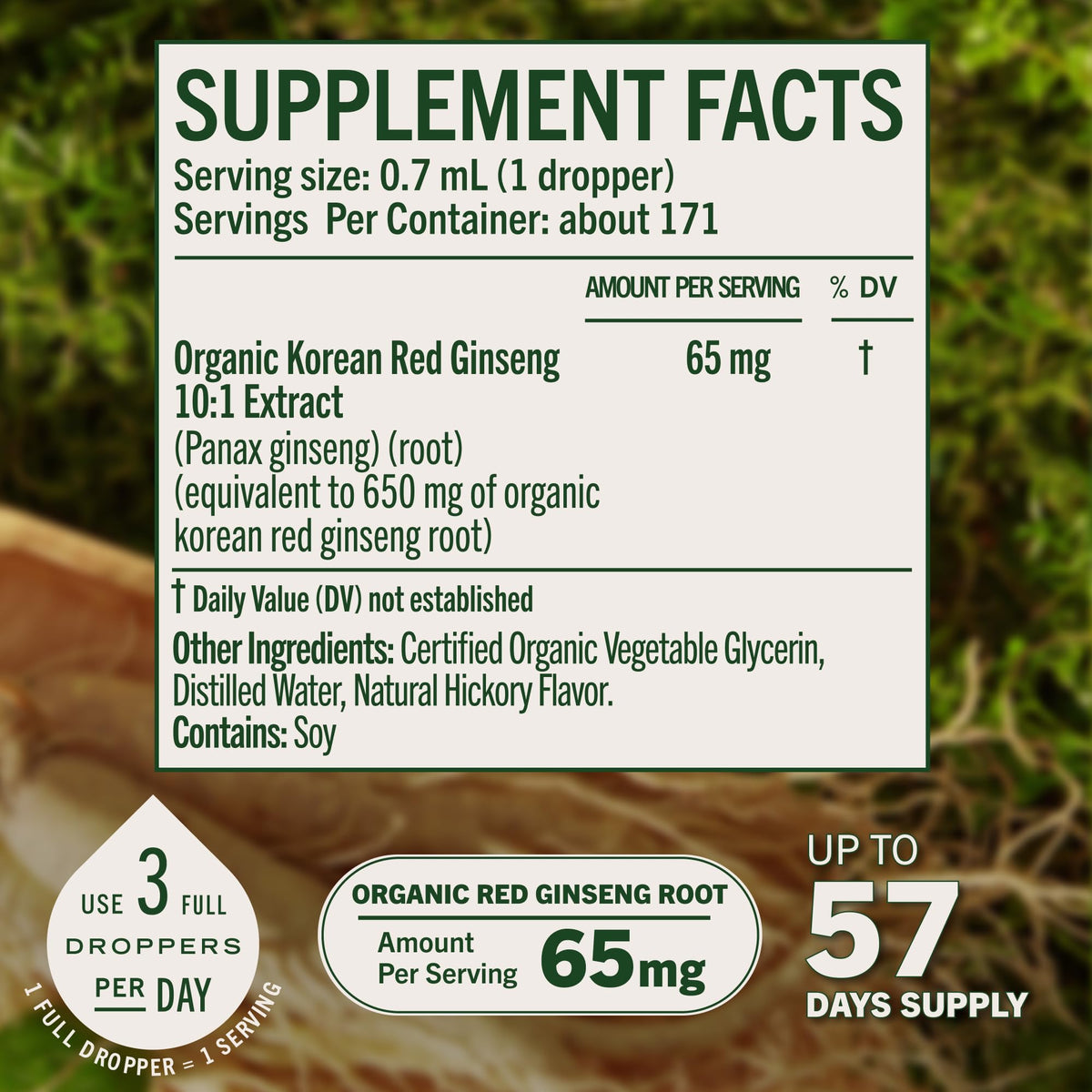 HERBAMAMA Panax Ginseng Tincture for Energy Support - 4 oz - image 4