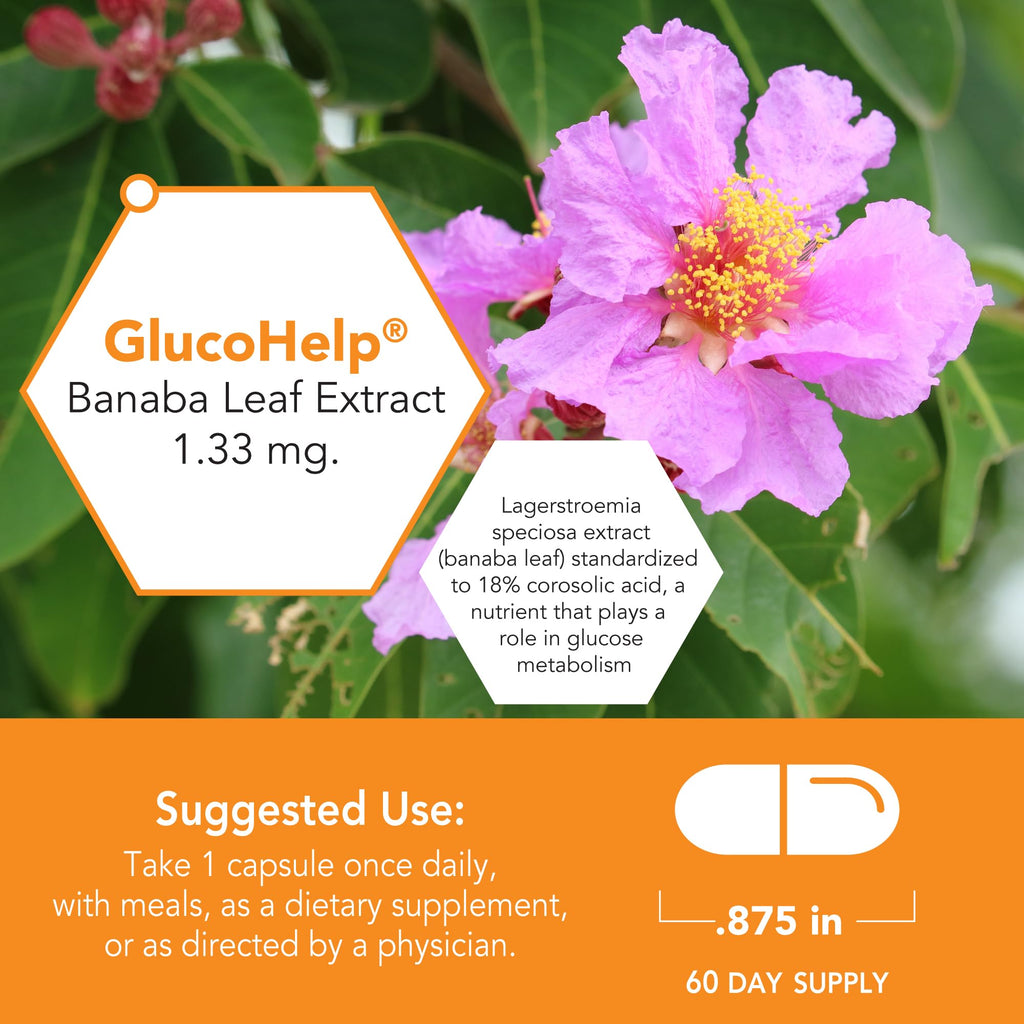 Botanic Choice GlucoHelp Banaba Leaf Extract - 60 Capsules - image 4