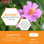 Botanic Choice GlucoHelp Banaba Leaf Extract - 60 Capsules - image 4