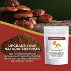 Addictive Wellness Reishi Mushroom + Spores Powder - 50g - image 7