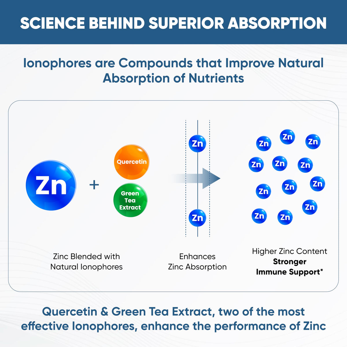 Sandhu's Zinc Supplement with Ionophores