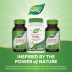 Nature's Way Kelp 600 mg Iodine Support - 100 Capsules - image 8