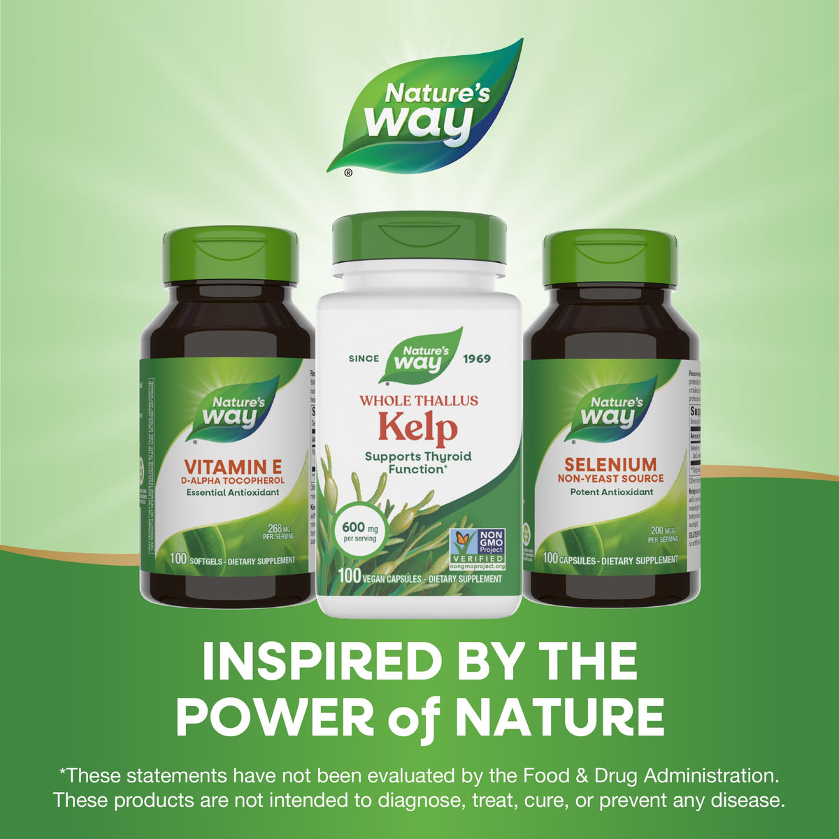 Nature's Way Kelp 600 mg Iodine Support - 100 Capsules - image 8