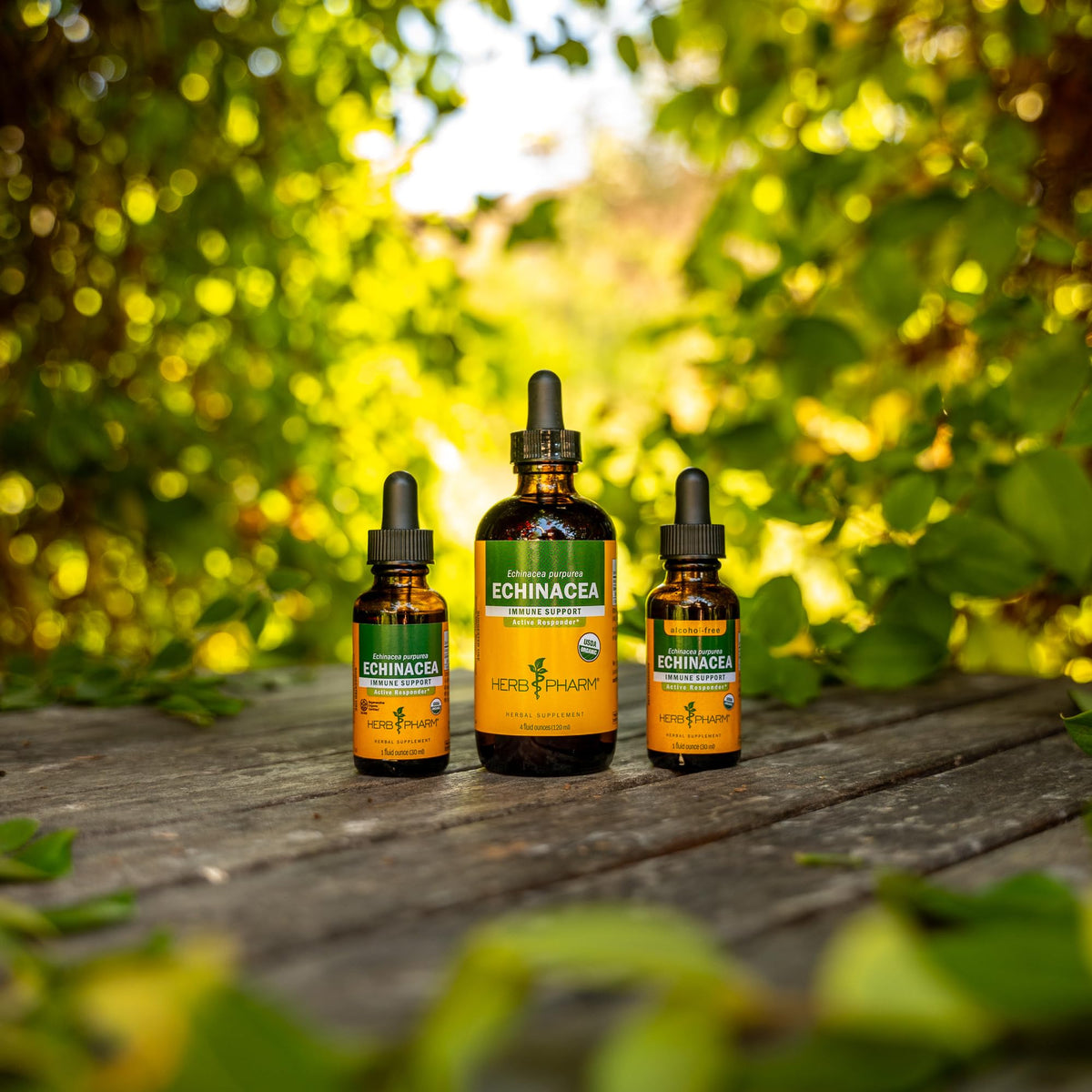 Herb Pharm Rapid Immune Boost Liquid Herbal Formula for Active Immune