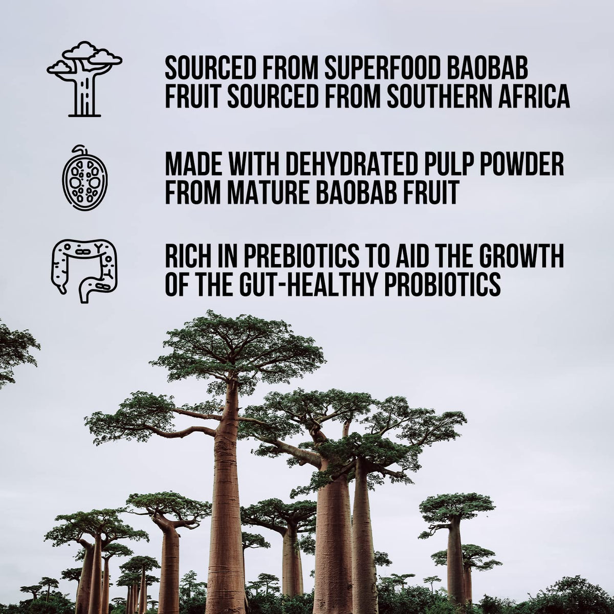 NAKED Fiber Organic Baobab Powder - 10.6 oz - image 2