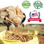 DABC OAK LAND American Ginseng Slices from Wisconsin
