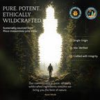 RAW Forest Foods Forest Manna Royal Pine Pollen Tincture