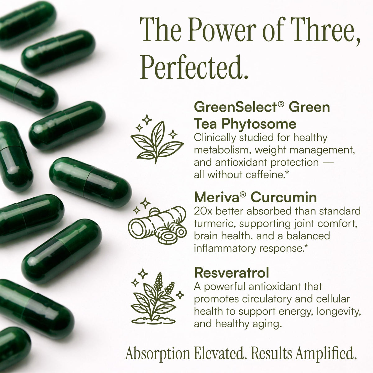 Purity Products Green Tea CR with Phytosome Technology - 60 Capsules - image 4