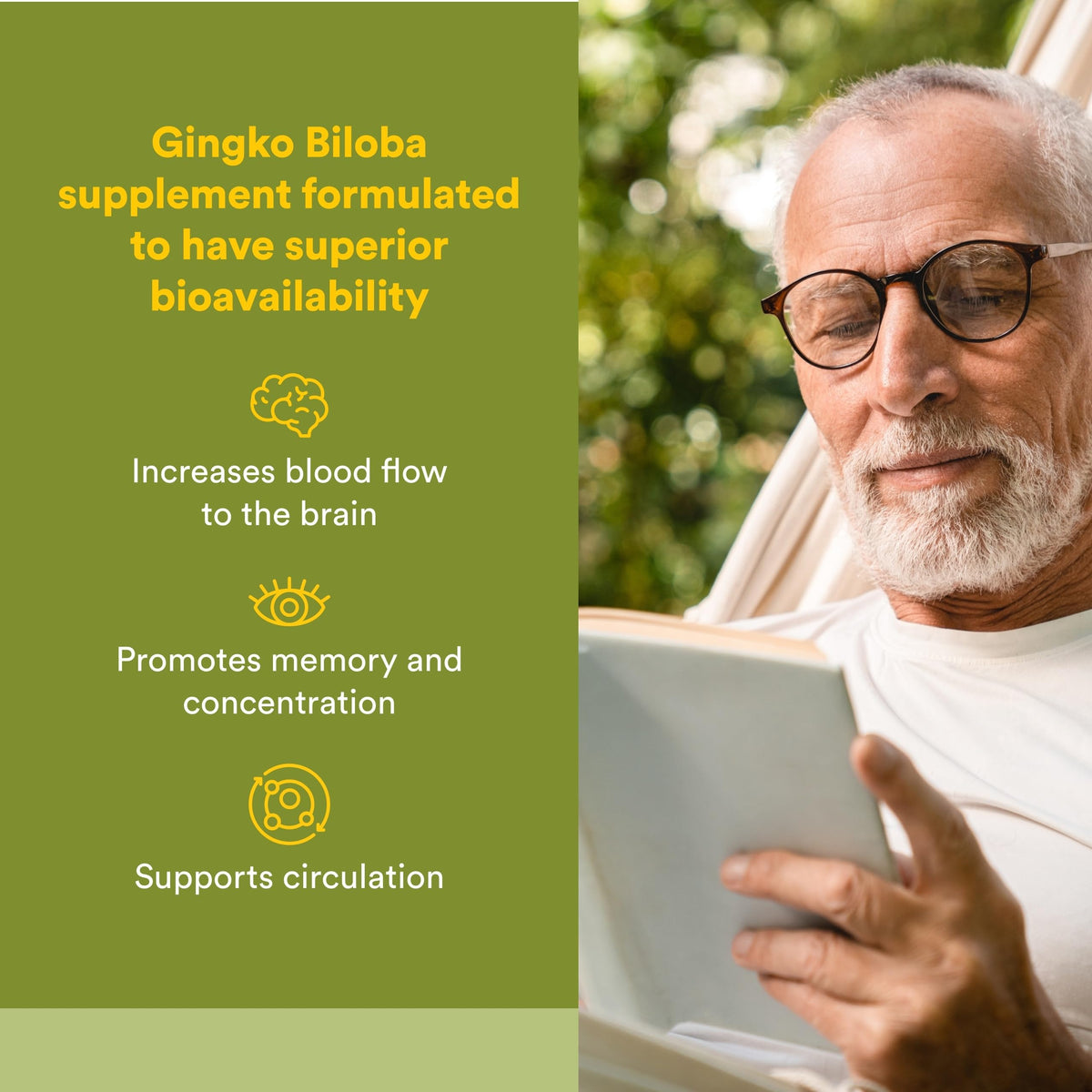 Natural Factors Ginkgo Biloba Phytosome Circulation Support - 60 Capsules - image 2